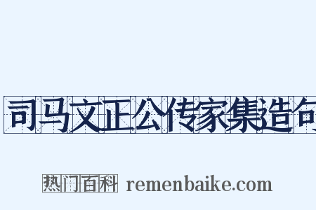 司马文正公传家集造句是什么意思的图片